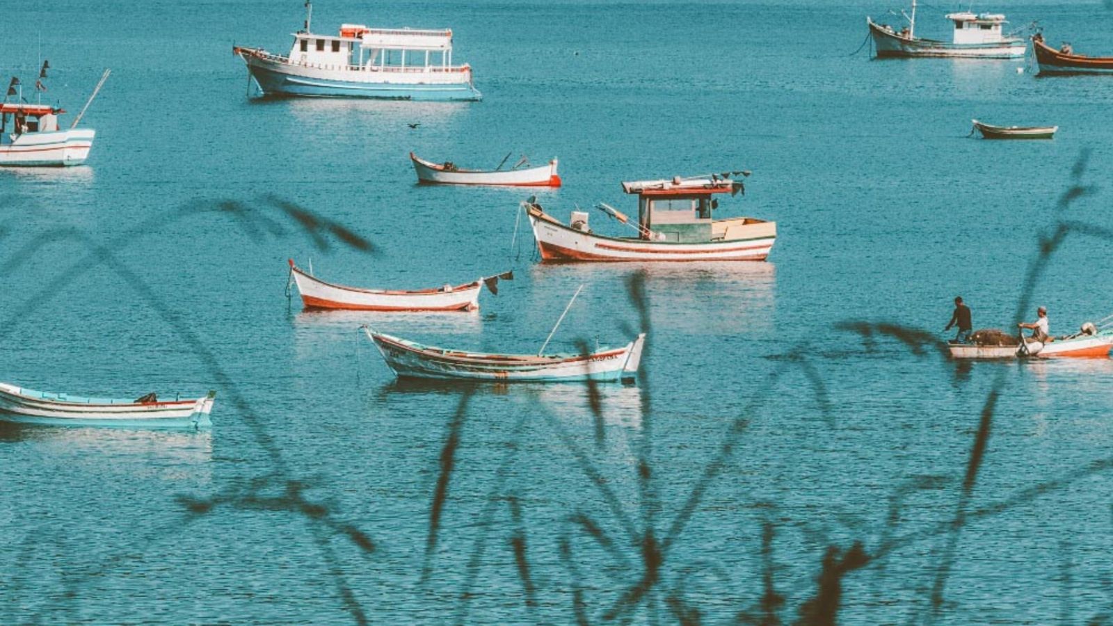 Barcos de pesca da cultura açoriana