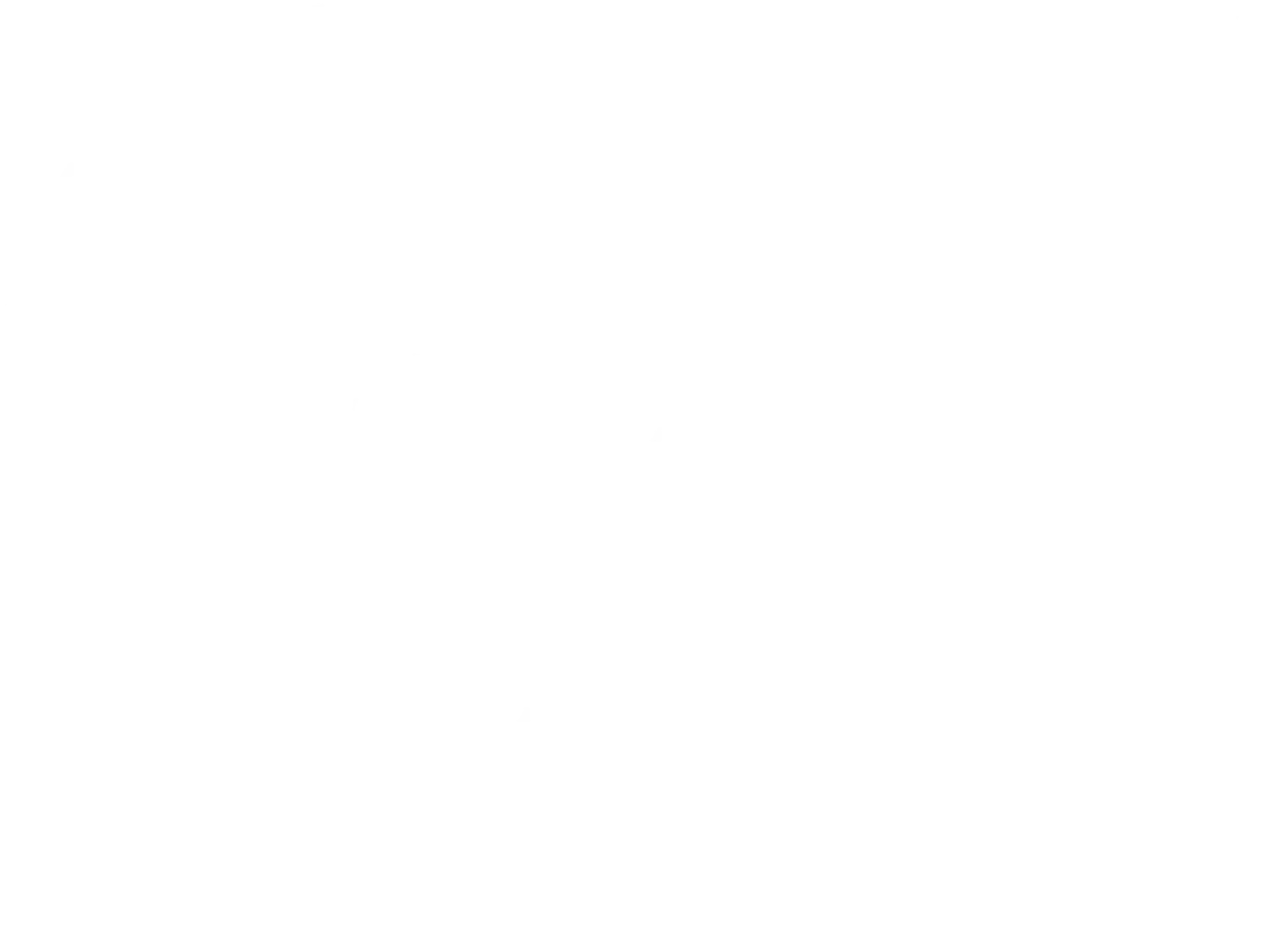 RZ Turismo
