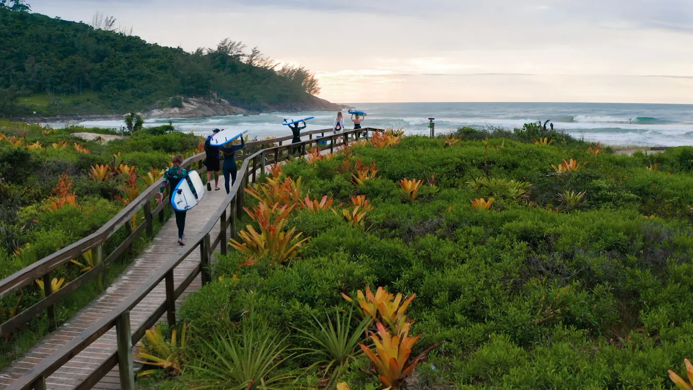 Turma chegando na praia da Ferrugem com as pranchas