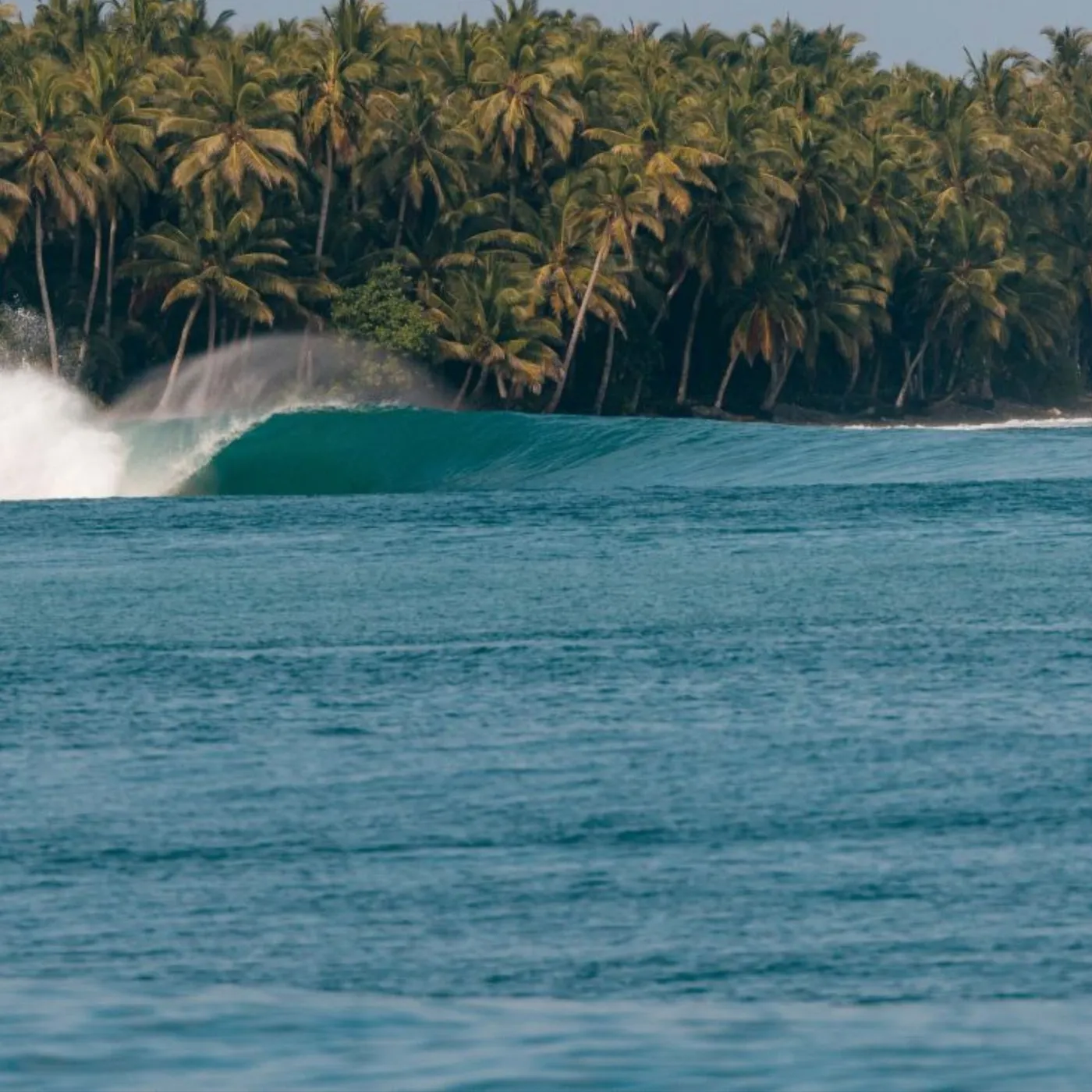 Tubo perfeito em Mentawai