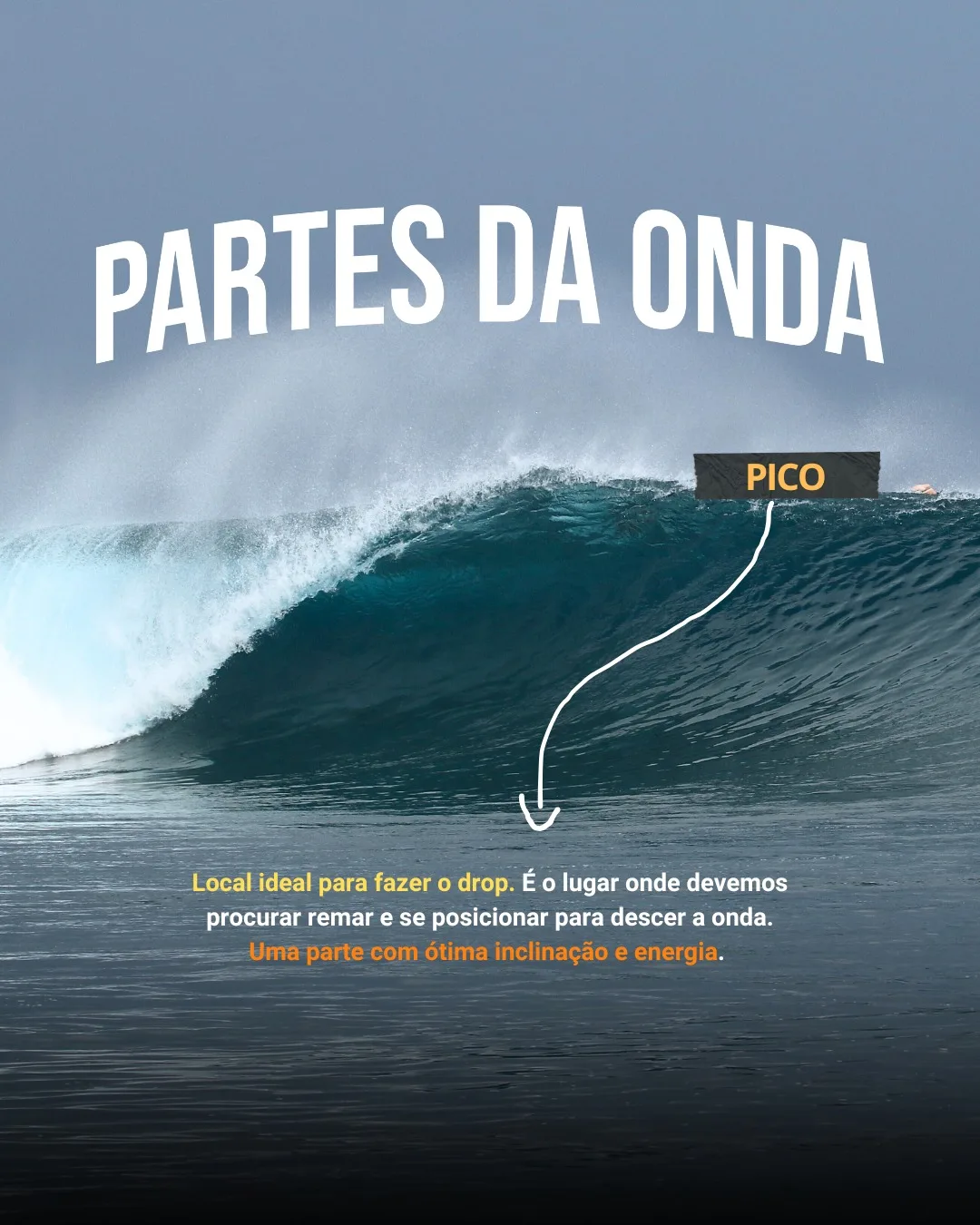 Onda com a etiqueta PICO apontando o ponto mais alto, onde um surfista rema