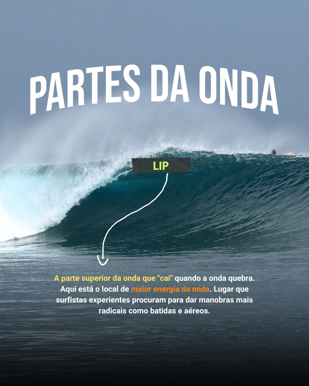 Onda com a etiqueta LIP apontando a borda de cima que cai